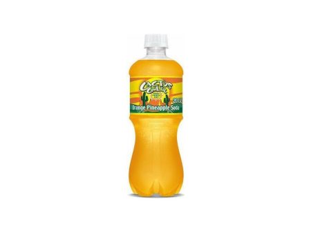 Cactus Cooler For Sale