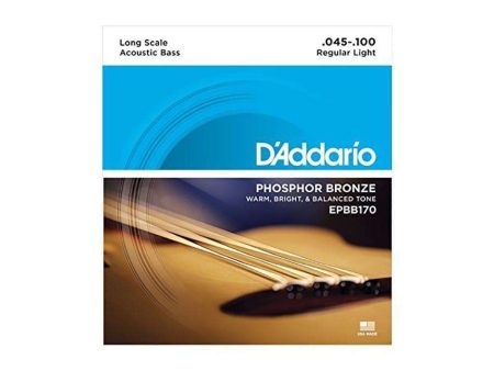 D Addario - Phosphor Bronze Acoustic Bass Supply