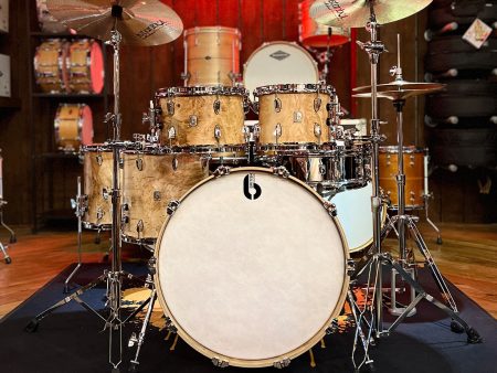 British Drum Co. Founders Reserve Oak with Sweet Spalted Gum Veneer 5-piece Shell Pack in Satin Finish Online Sale