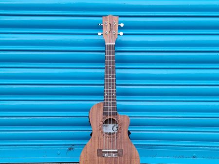 Tanglewood TWT 16E Electro Concert Ukulele Inc. Padded Gig Bag Fashion