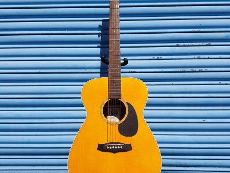 Tanglewood TN5F Acoustic Guitar Hot on Sale