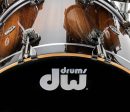 DW Collector s Series 6-Piece Shell Pack in Candy Black Burst over Monkey Pod Fashion