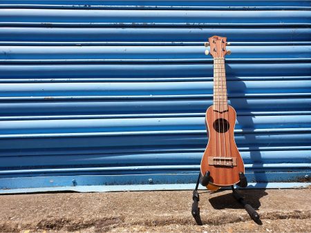 Eddy Finn Peanut Ukulele Discount