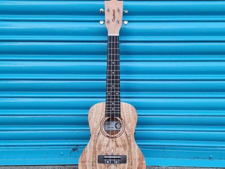 Tanglewood TWT 10 Tiare Concert Ukulele Online Hot Sale