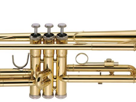 J. Michael Bb Trumpet Outfit (Gold Lacquer finish) Cheap